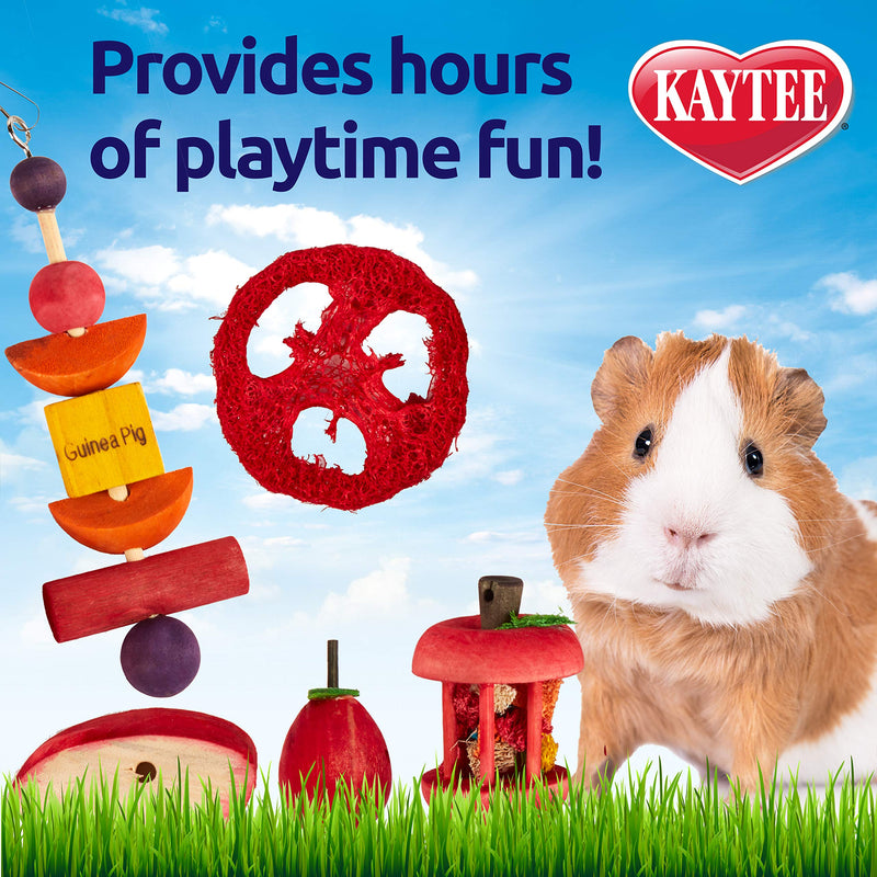 Kaytee Chew & Treat Toy Assortment for Guinea Pigs (5 Pack) - PawsPlanet Australia
