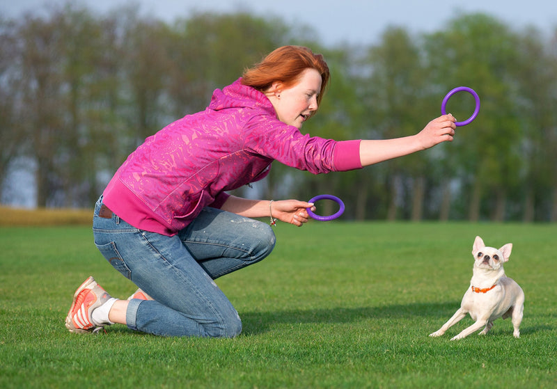 PULLER Micro Interactive Dog Toy Fitness Tool Set 12.5 cm/4.72 in - PawsPlanet Australia