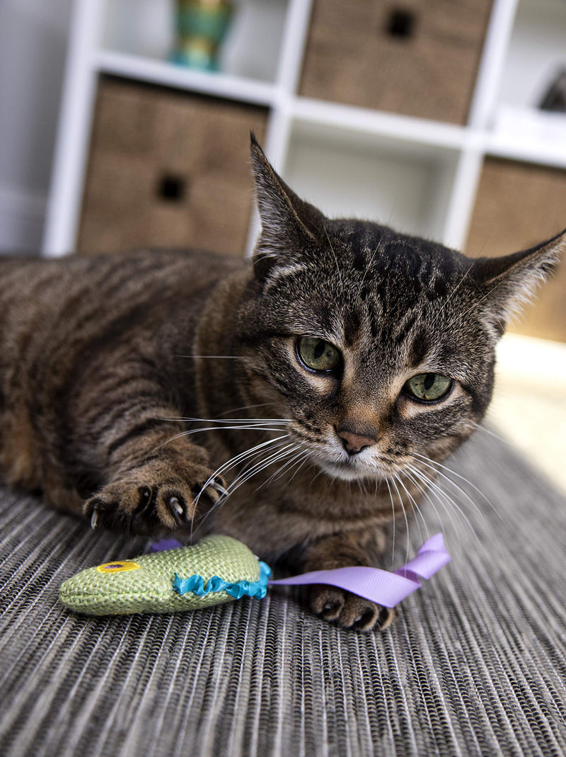 [Australia] - Petlinks HappyNip Catnip Cat Toys with Exciting Silvervine and Catnip Crinkle Chameleon 