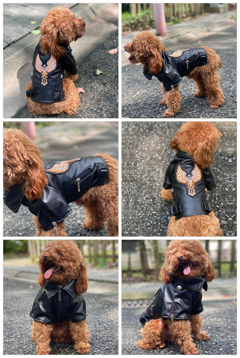 Lovelonglong Cool Dog Leather Jacket, Warm Coats Dogs Windproof Cold Weather Coats for Large Medium Small Dogs With Eagle Embroidery Black XS XS (Mini Dog ~4 Lbs) Black-Eagle - PawsPlanet Australia