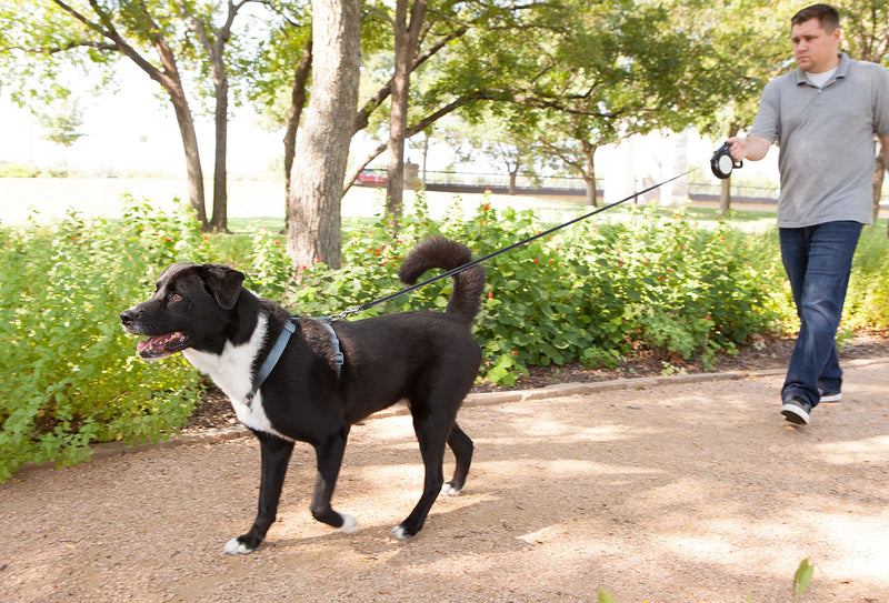 [Australia] - Petmate K9 Control Retractable Dog Walking Leash, includes zeroslack technology allowing leash to retract while in locked position Up to 120lbs 