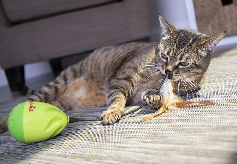 [Australia] - Petlinks Electronic Motion Cat Toys Wild Thing 