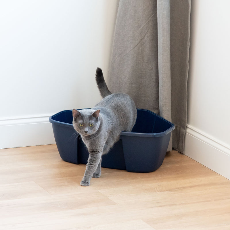 [Australia] - IRIS Open Top Cat Litter Box with Litter Scoop Navy Corner 