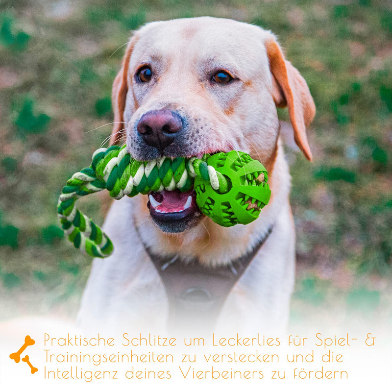 PAWDY dog rope with ball for fun and dental care - Robust dog toy for medium & large dogs - Chew toy with nubs made of natural rubber - Ball rope throwing toy for dogs (green) Green - PawsPlanet Australia