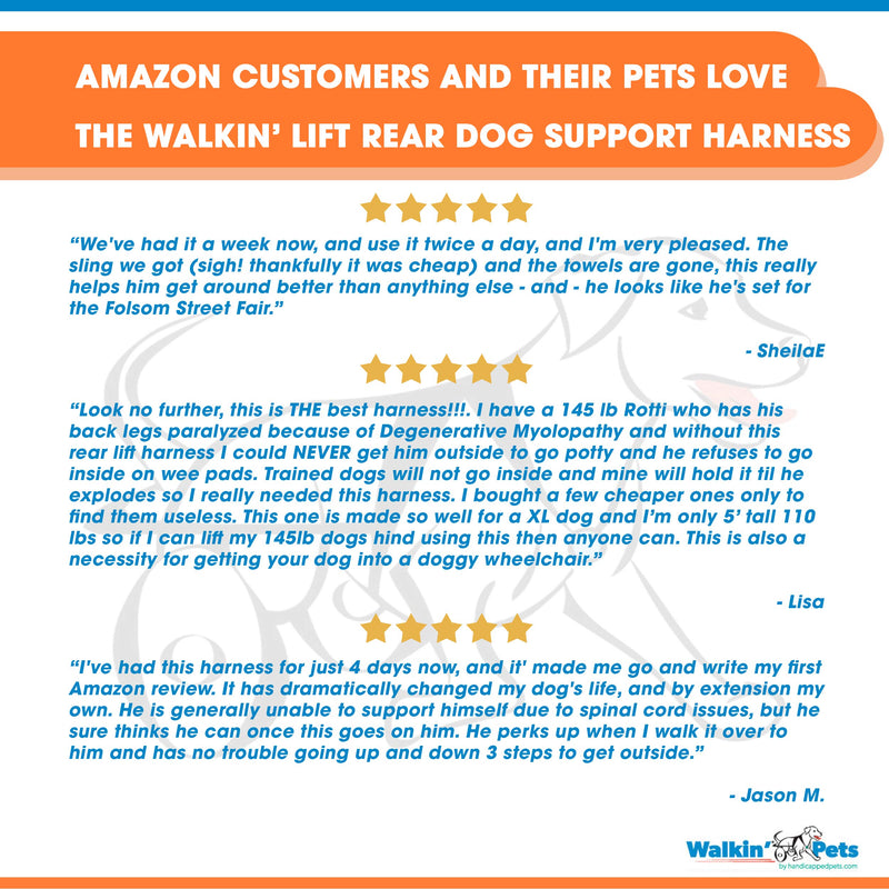 [Australia] - Walkin'’ Lift Rear Dog Support Harness | Helps Dogs with Arthritis, Weakness, Joint Injuries Rehab | Adjustable Handles Large 