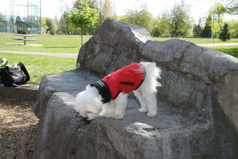 [Australia] - Louie de Coton Sporty Water Repellent Windproof and Breathable Soft Shell Small Dog Vest Limited Edition Made in USA by 