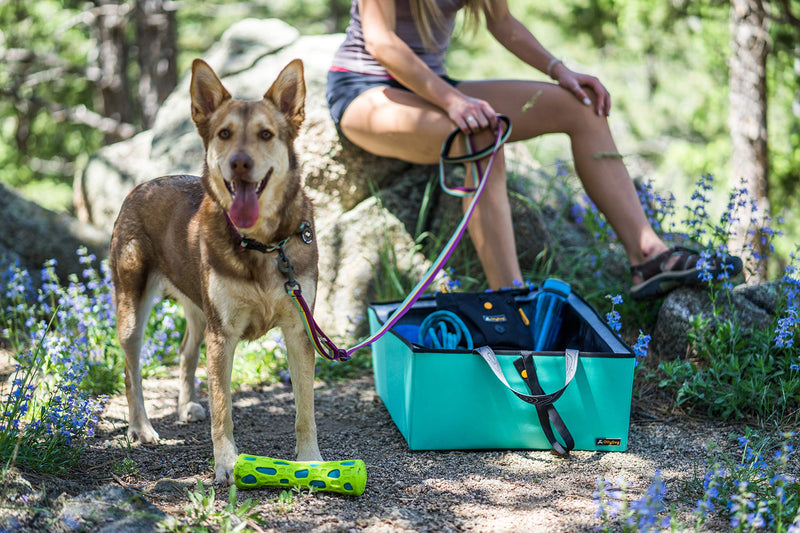 [Australia] - OllyDog Urban Trail Reflective Dog Collar Small Air Blue 