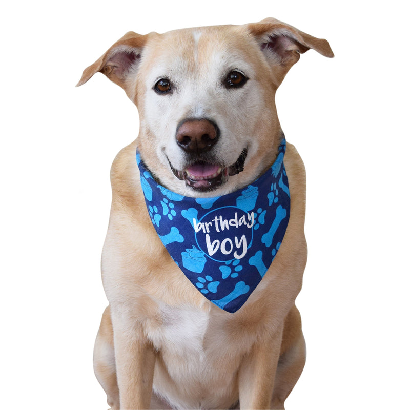 [Australia] - hecho Dog Birthday Bandana - Boy 