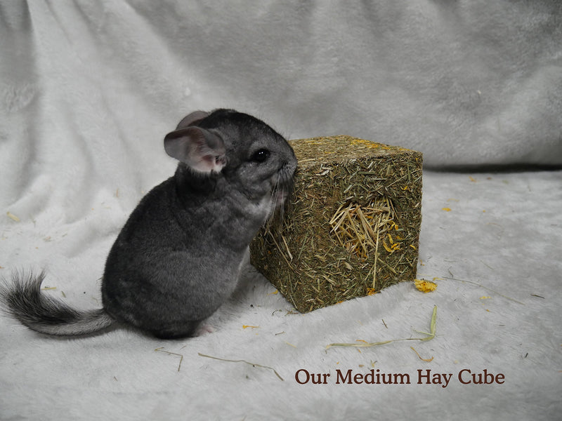 Rosewood Naturals I Love Hay Forage Cube Treat and Toy for Small Animals, Large - PawsPlanet Australia