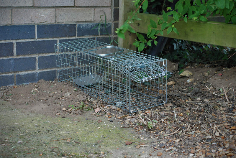 Defenders STV076 Animal Trap (Humane Cage Trap for Squirrels and Small Wildlife, Indoor and Outdoor Use), Clear - PawsPlanet Australia