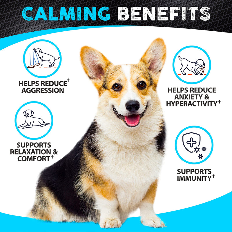 Calming Chews + Hip&Joint Chews - Made in USA - PawsPlanet Australia