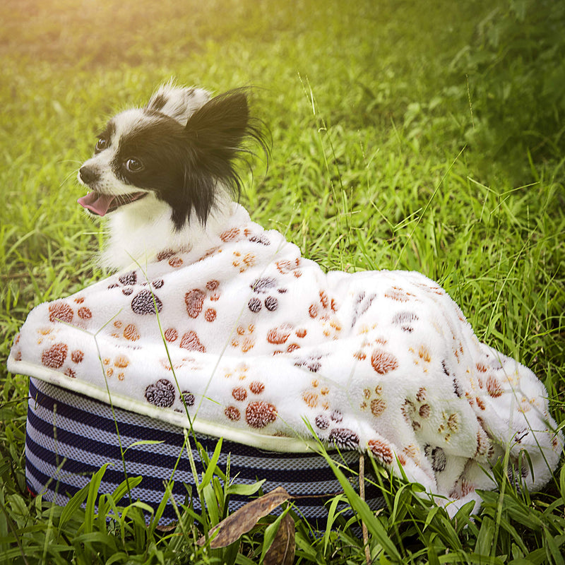 iNNEXT 3 Pack Puppy Blanket for Pet Cushion Small Dog Cat Bed Soft Warm Sleep Mat, Pet Dog Cat Puppy Kitten Soft Blanket Doggy Warm Bed Mat Paw Print Brown/Blue/Pink - PawsPlanet Australia