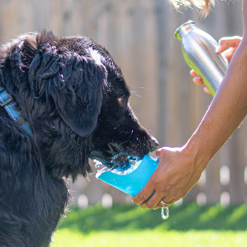 [Australia] - Hudson & Friends Pet Supply Co. Set of Two Large 24oz Stainless Steel Water Bottles with Drinking Lid for Dog, 700ml Capacity 