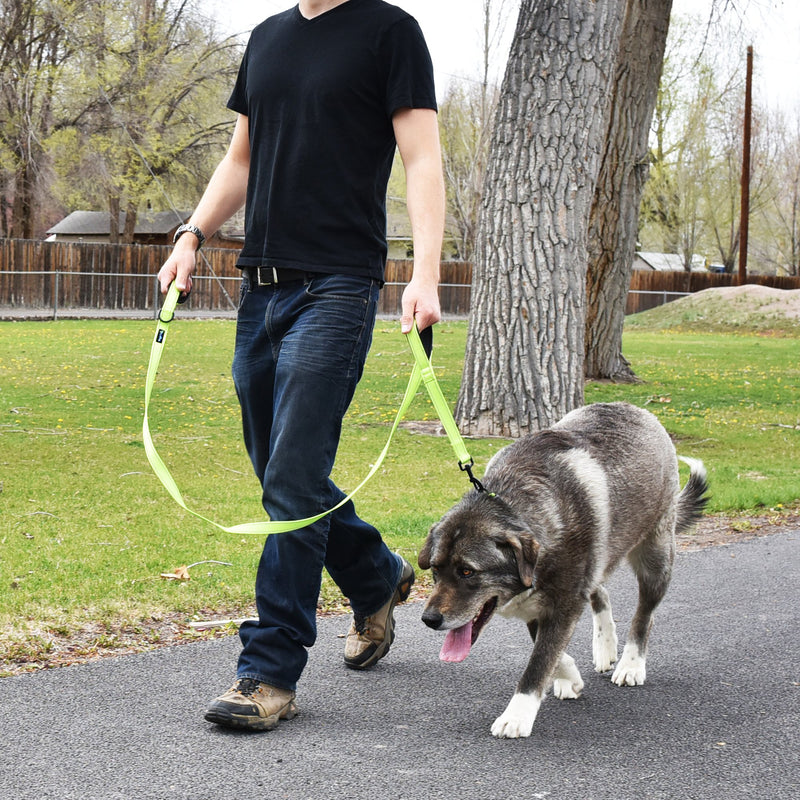 [Australia] - Wagtime Club Soft and Thick 6FT Double Handle Leash for Medium to Large Dogs (Neon Green) 