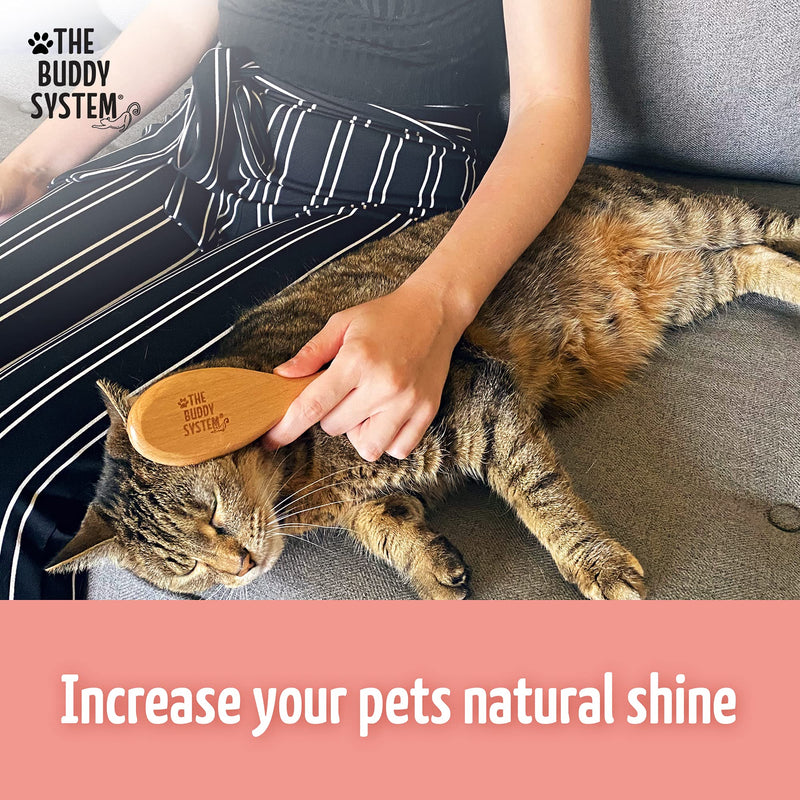The Buddy System Cat Brush with Boar Bristle and Wooden Handle, Professional Grade Daily Grooming Hairbrush, Reduce Shedding, Soft Hair and Healthy Shine 1 Pack - PawsPlanet Australia