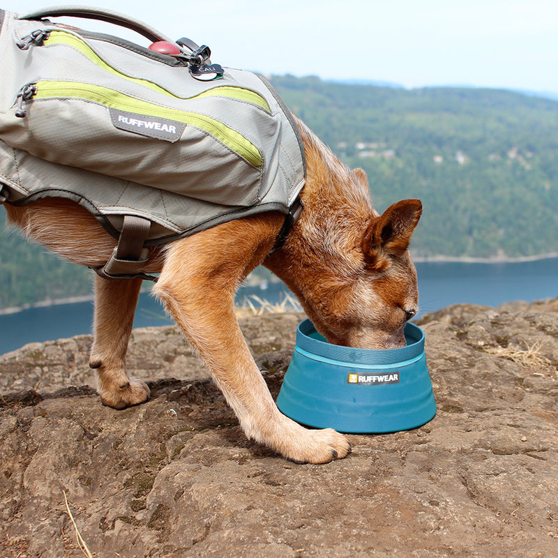 [Australia] - RUFFWEAR - Bivy Bowl, Blue Spring 