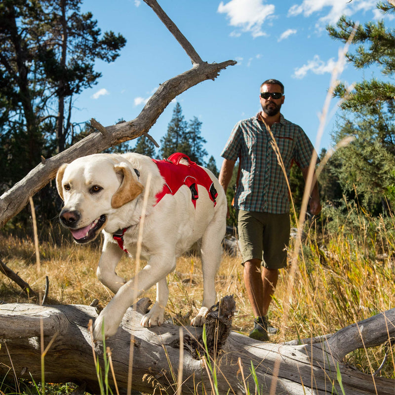 RUFFWEAR, Web Master, Multi-Use Support Dog Harness, Hiking and Trail Running, Service and Working, Everyday Wear Blue Dusk XX-Small - PawsPlanet Australia