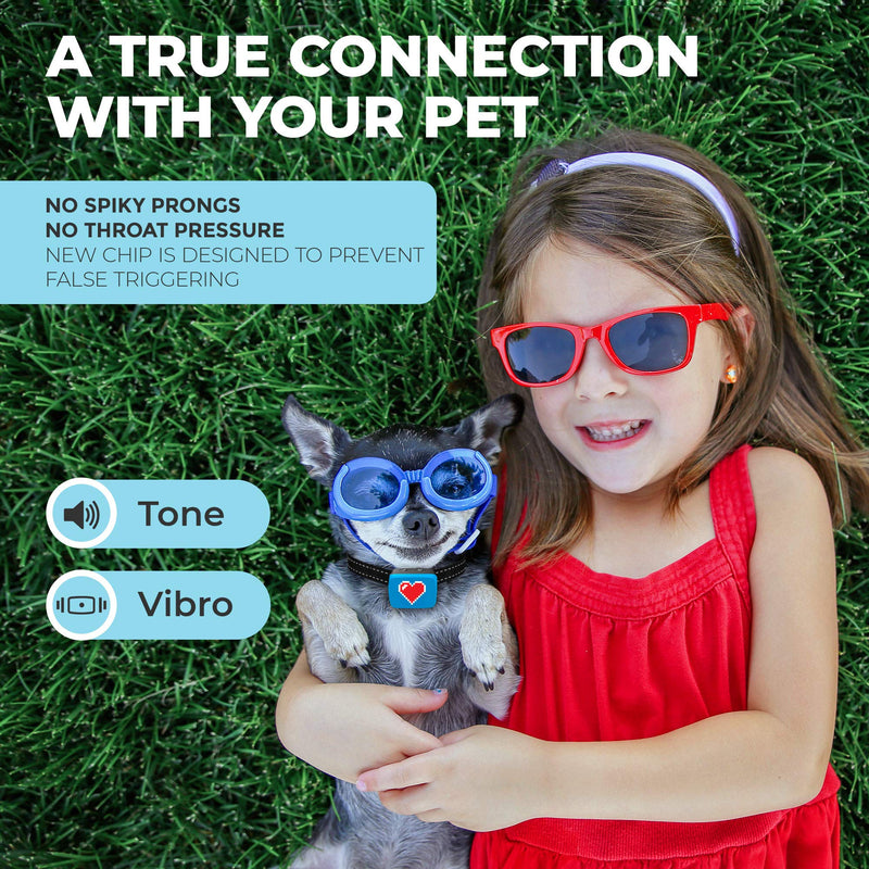 Small Dog Bark Collar Rechargeable - Anti Barking Collar For Small Dogs - Smallest Most Humane Stop Barking Collar - Dog Training No Shock Bark Collar Waterproof - Safe Pet Bark Control Device Blue - PawsPlanet Australia