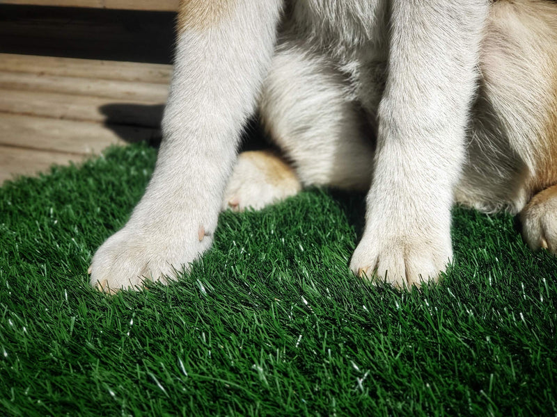 [Australia] - LOOBANI Dog Grass Pee Pads, Artificial Turf Pet Grass Mat Replacement for Puppy Potty Trainer Indoor/Outdoor Use - Set of 2 14"x18" 