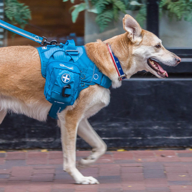 Kurgo RSG First Aid Kit for Dogs, Dog Harness Add-On, MOLLE Compatible, Coastal Blue - PawsPlanet Australia