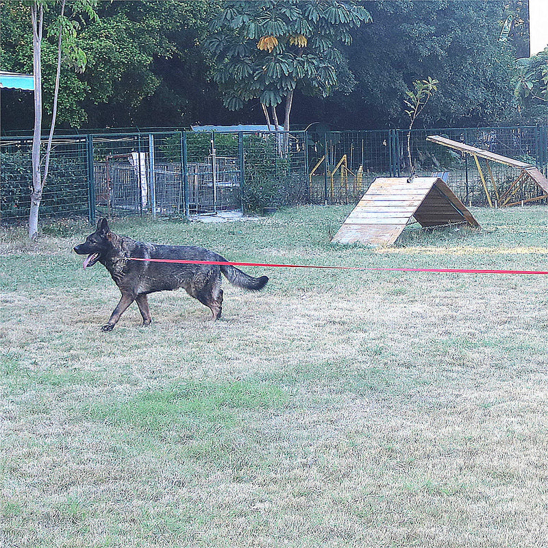 Siumouhoi Dog/Puppy Obedience Recall Training Agility Lead-15 ft 20 ft 30 ft 40 ft 50 ft Long Leash -for Training Leash, Play, Safety, Camping,or Backyard 15 Feet Black - PawsPlanet Australia