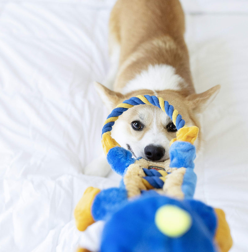 [Australia] - Charming Pet Ropes-A-Go Squeaky Dog Toy - Tough and Durable Interactive Soft Plush Animal Tug Toy Dragon 