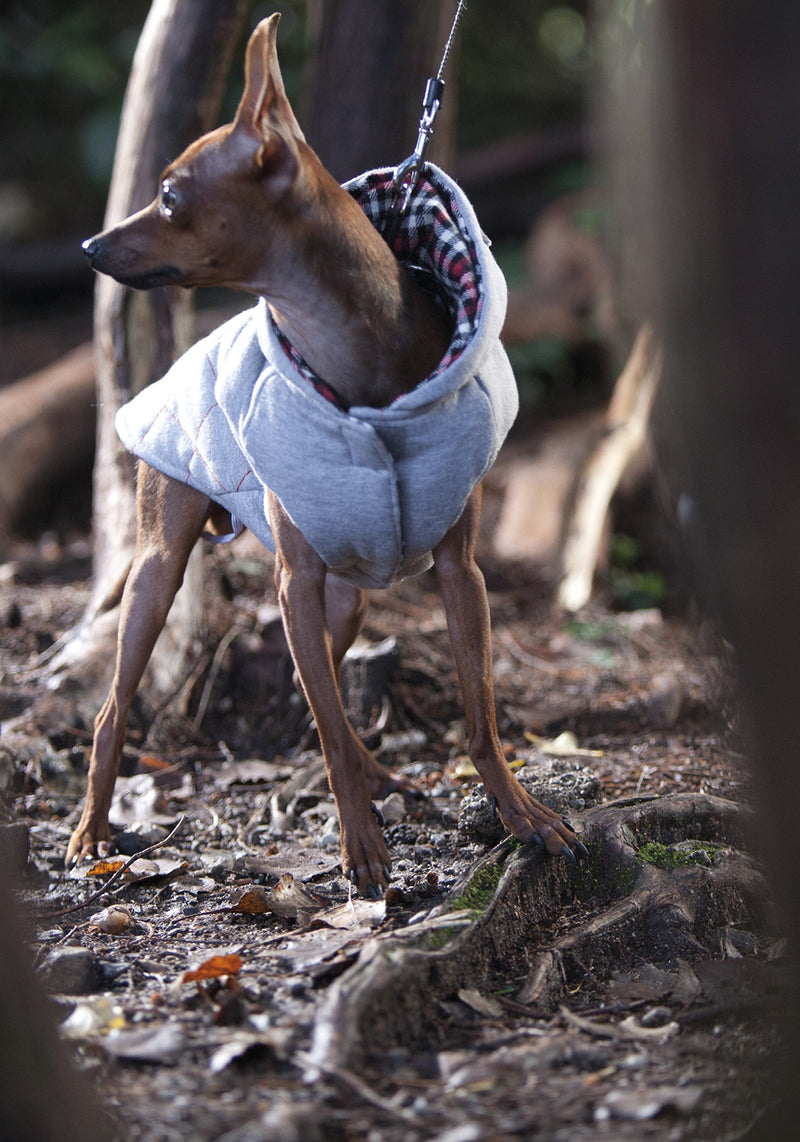 Croci Sweatshirt for Dogs, Grey Melange Plus Tartan, 20 cm - PawsPlanet Australia