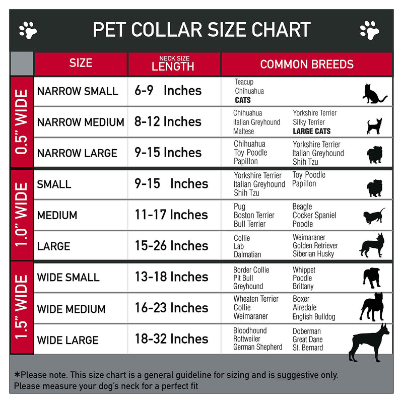 [Australia] - Buckle-Down Plastic Clip Collar 1" Wide - Fits 11-17" Neck - Medium 