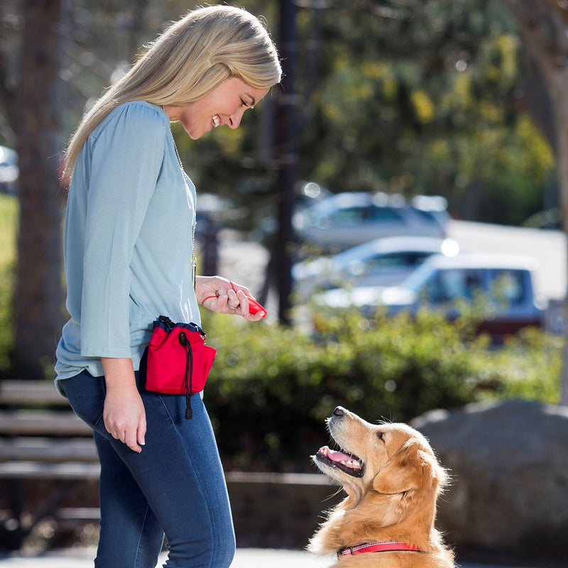 The Company of Animals Whizzclick, Clicker and Whistle Combined, Recall and Reward Training, Wrist Strap, For all Dogs Including Sensitive Dogs and Puppies - PawsPlanet Australia