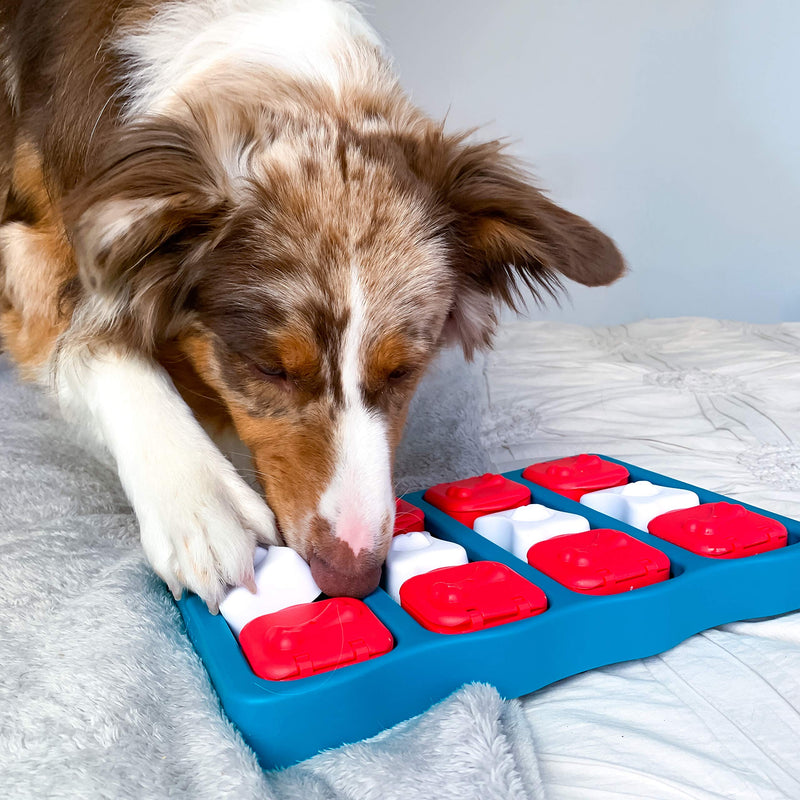 Nina Ottosson by Outward Hound Dog Brick Interactive Treat Puzzle Dog Toy, Intermediate - PawsPlanet Australia