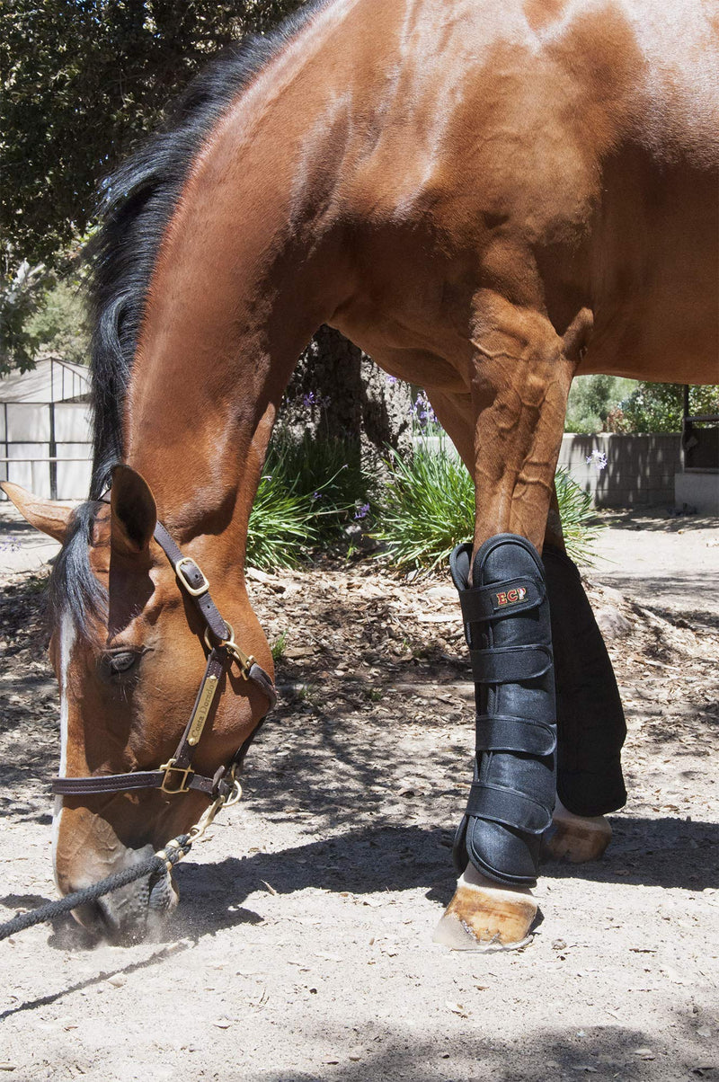 ECP Equine Comfort Products Far Infrared Heat Therapy Horse Medium Front - PawsPlanet Australia