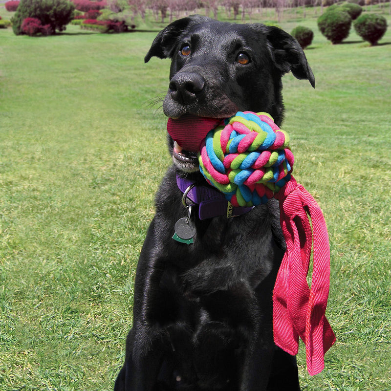 KONG - Wubba Weaves - Durable Dog Fetch and Chew Toy, Cleans Teeth - For Small Dogs (Assorted Colours) - PawsPlanet Australia