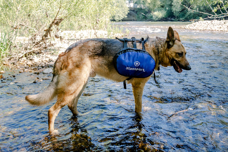 [Australia] - Stansport Saddle Bag for Dogs, Blue with Black Trim, 13" L x 10" W 