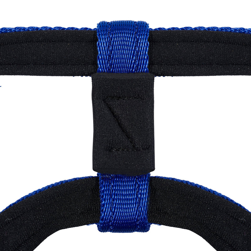 Big Dog Styles Head Collar (2, Black) 2 - PawsPlanet Australia