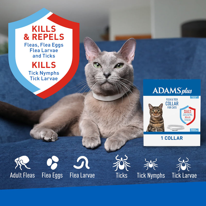 Adams Plus Flea & Tick Collar for Cats 1 pack - PawsPlanet Australia