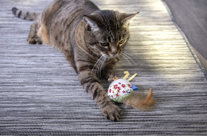 [Australia] - Petlinks System Sweet Tweet Cat Toy Medium 