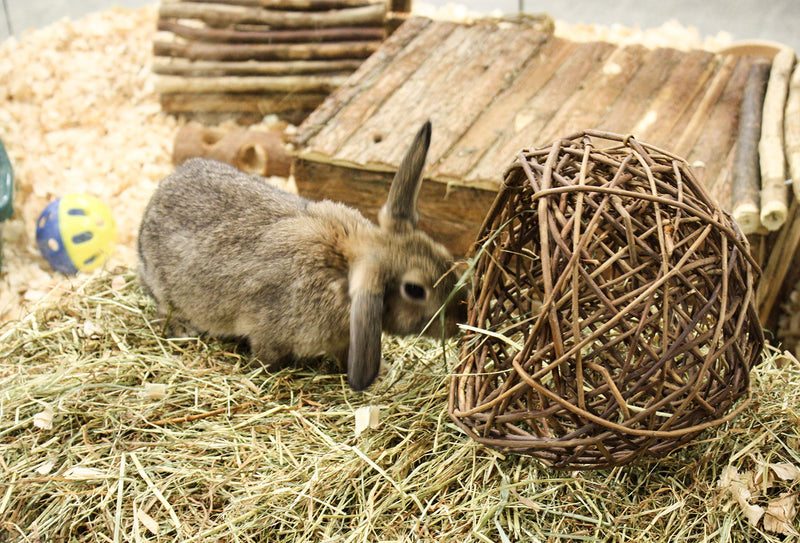 Happypet® Nature First Willow Nest Suitable for Small Animals - PawsPlanet Australia