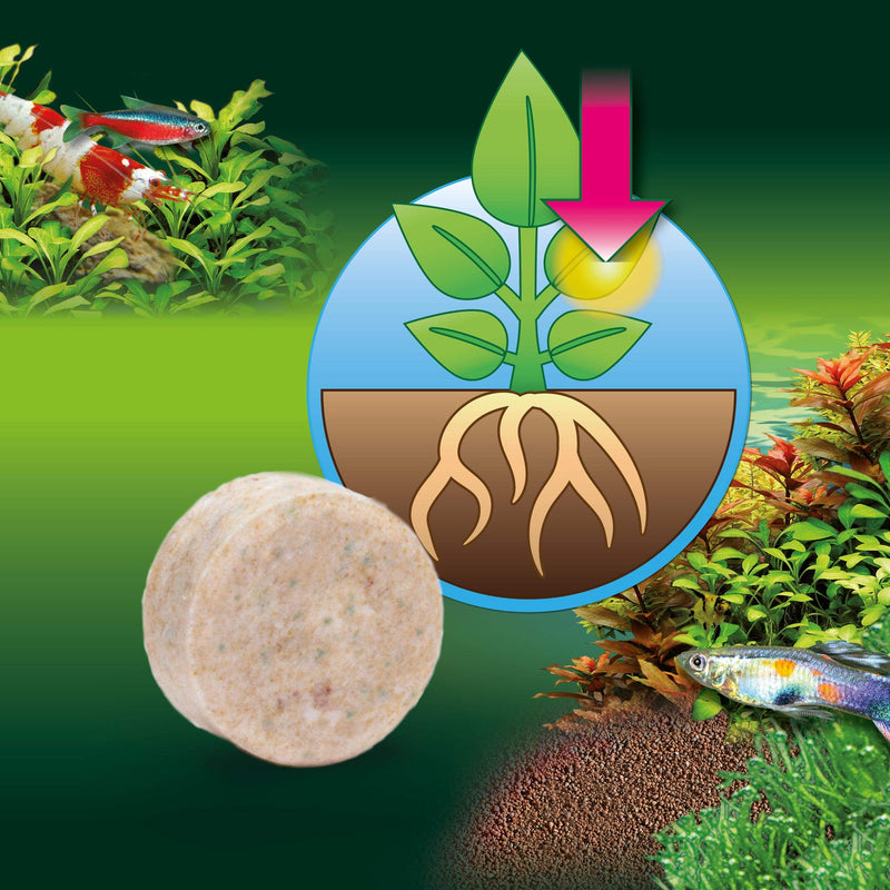 JBL FerroTabs, Plant fertiliser for freshwater aquariums single - PawsPlanet Australia