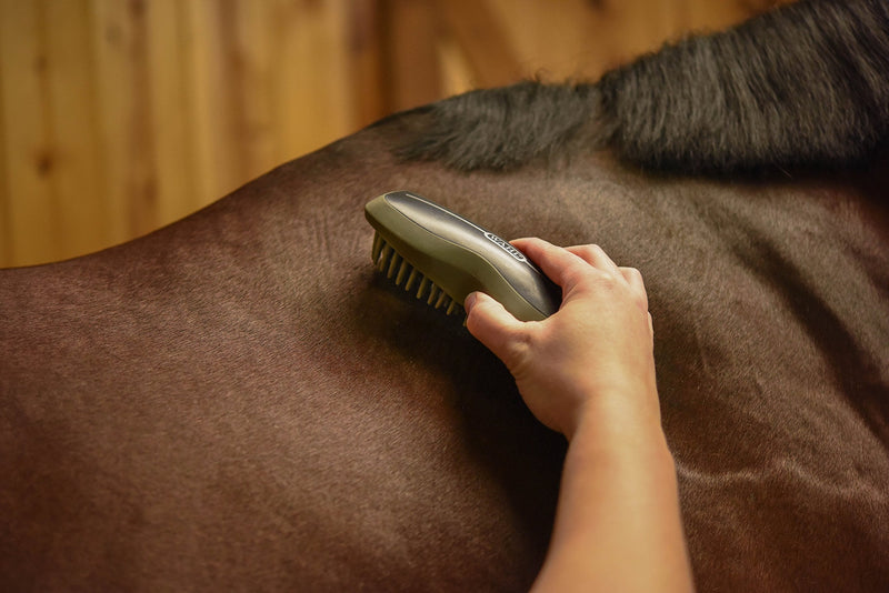 Wahl Professional Animal Equine Grooming Rubber Curry Horse Brush Black - PawsPlanet Australia