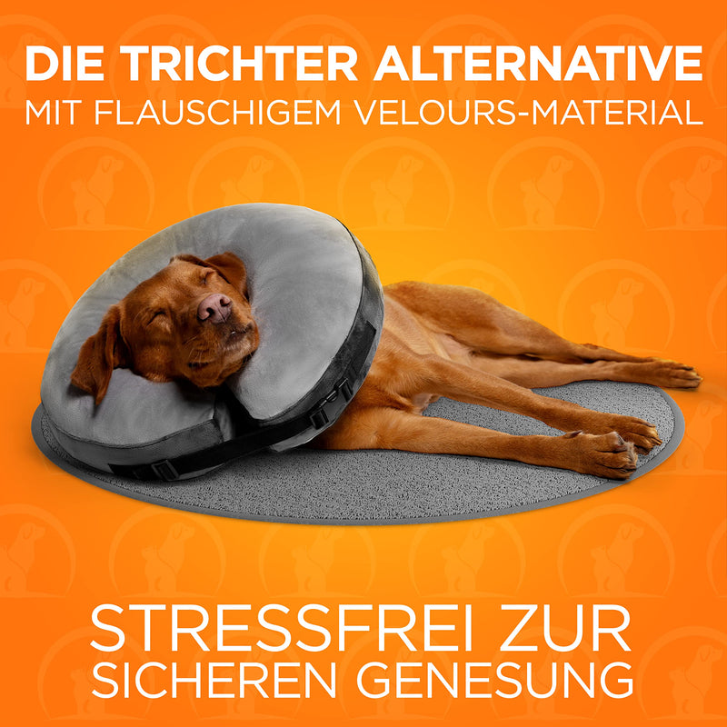 Tierhood ® - inflatable neck collar for dogs and cats [PROTECTIVE] Leak protection dog - dog collar - protective collar dog - neck collar dog - dog collars - neck brace dog - neck brace cat - collar M - PawsPlanet Australia