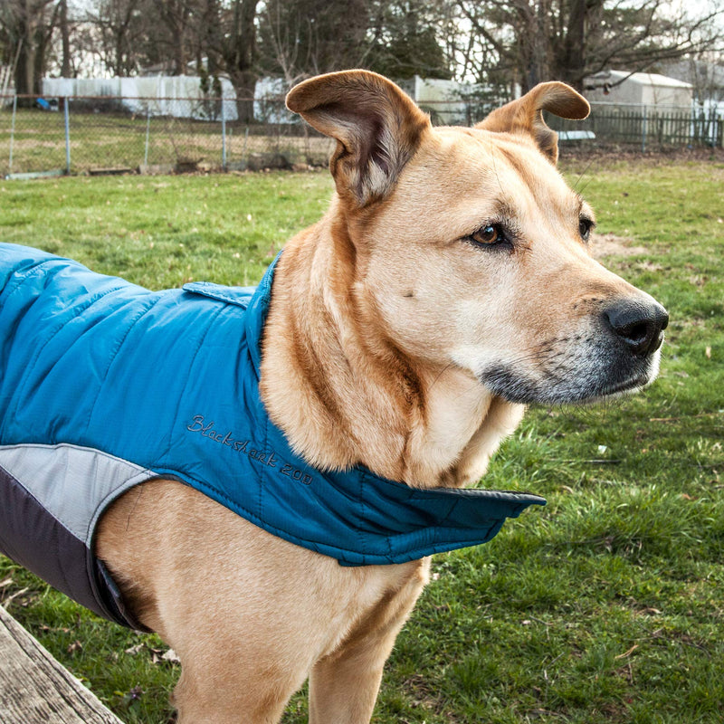 DOGHELIOS 'Hurricane-Waded' Plush Adjustable 3M Reflective Insulated Winter Pet Dog Coat Jacket w/ Blackshark technology, Large, Blue Wave - PawsPlanet Australia