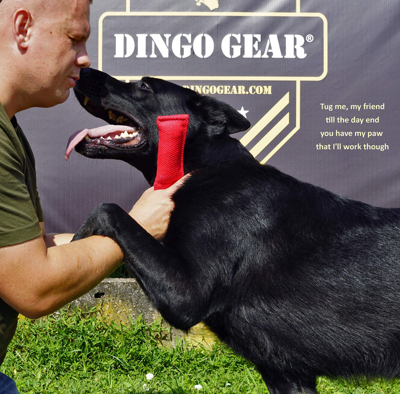 DINGO GEAR Nylcot Bite Tug for Dog Training K9 IGP & Fun, 1 Handle, Black 15 x 5 cm - PawsPlanet Australia