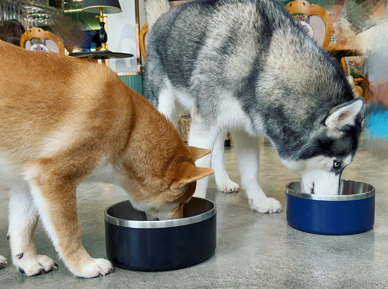 IKITCHEN Dog Bowls Double Walled for Food and Water, 1.2L Stainless Steel Durable Non-Slip Insulated Heavy Duty Stable with Rubber Base for Medium and Large Dogs (1.2L, Blue) - PawsPlanet Australia