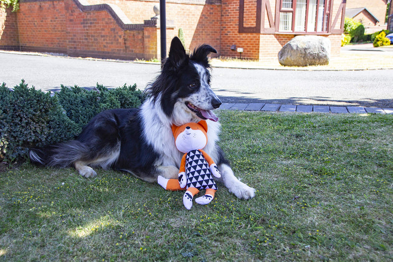 Rosewood Mr Fox, Plush Interactive Dog Toy - Orange One Size - PawsPlanet Australia