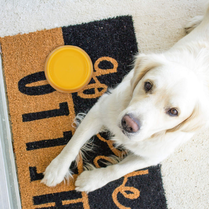 [Australia] - Forest Guys Dog Bowls Cat Bowls Plastic Bowls Yellow + Blue + Pink + Purple 