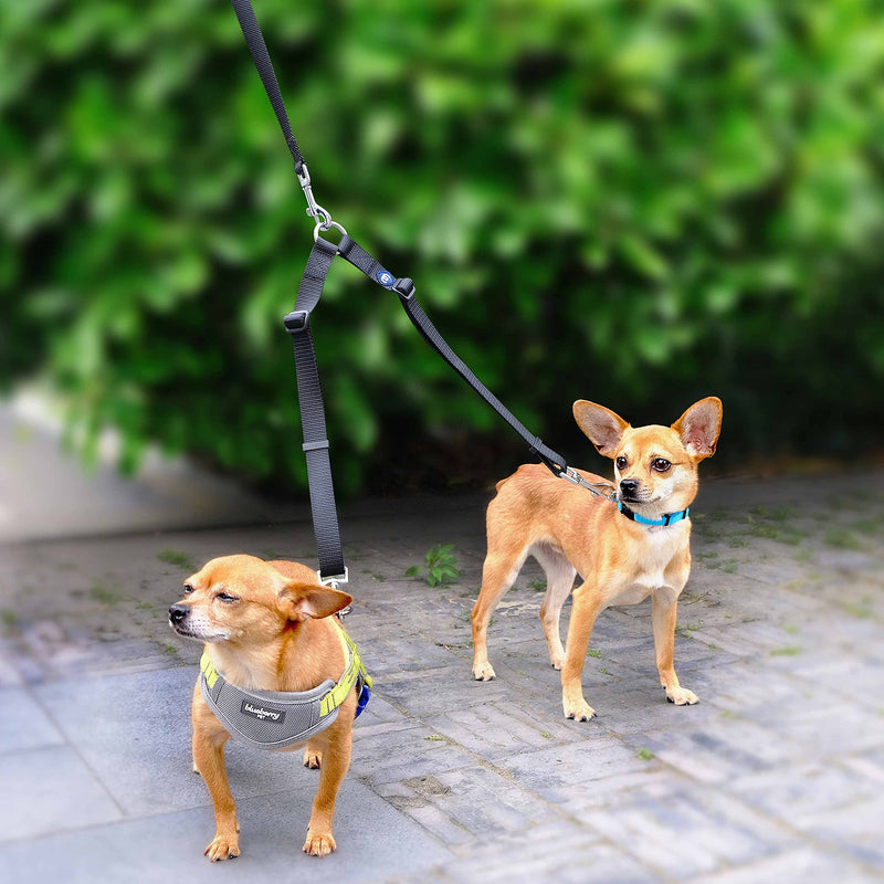 Blueberry Pet Essentials 20+ Colors Durable Classic Dog Leashes, Double Handle Leashes, Rope Leashes Coupler Double Leash - S (0-20lbs) (Pack of 1) French Pink - PawsPlanet Australia