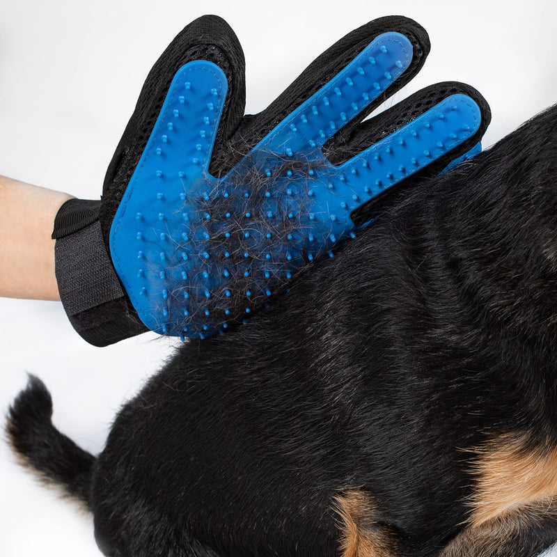 Grooming glove blue - PawsPlanet Australia