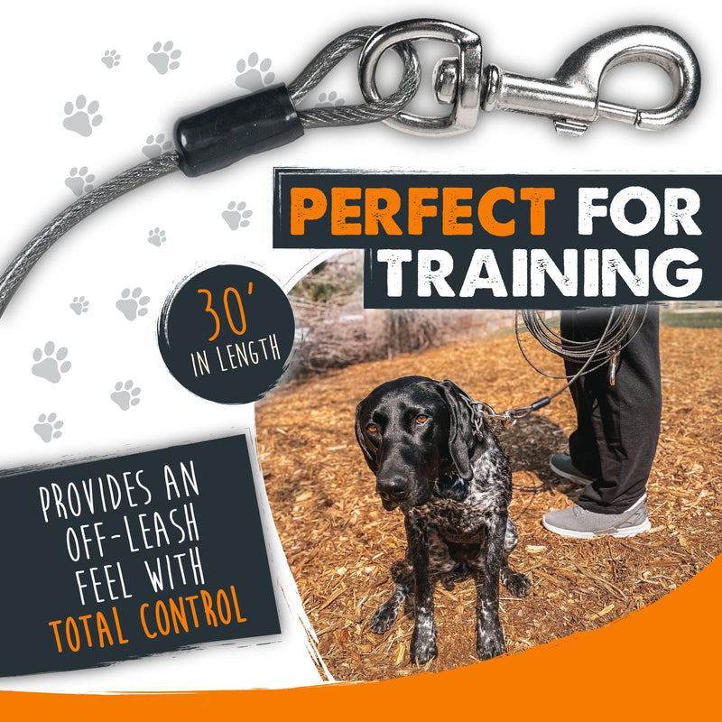 Mighty Paw Cable Tie Out for Dogs | 30’ Braided Steel Black Tieout. Chew Proof Lead for All Sized Pets. Great for Yard, Camping, and Outdoors. an Off-Leash Feel with Total Control M - Up to 60 lbs - PawsPlanet Australia