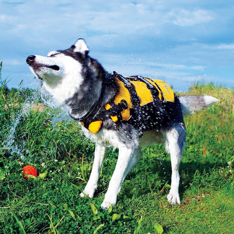 EzyDog Doggy Flotation Device Dog Life Vest Jacket (DFD) Large Red - PawsPlanet Australia