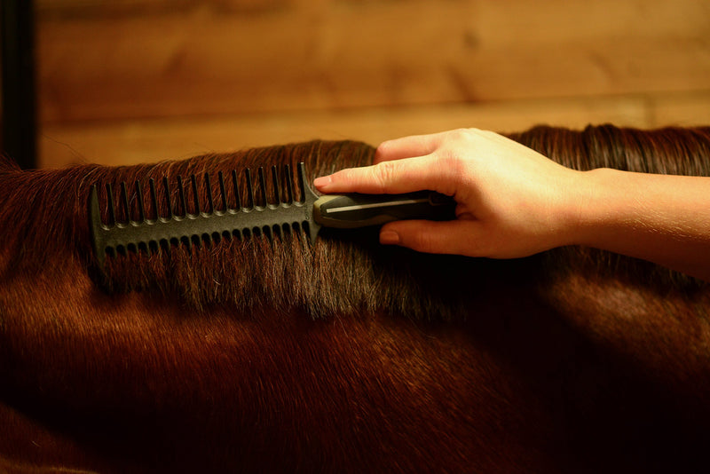 Wahl Professional Animal Equine Grooming Mane and Braiding Horse Comb Black - PawsPlanet Australia